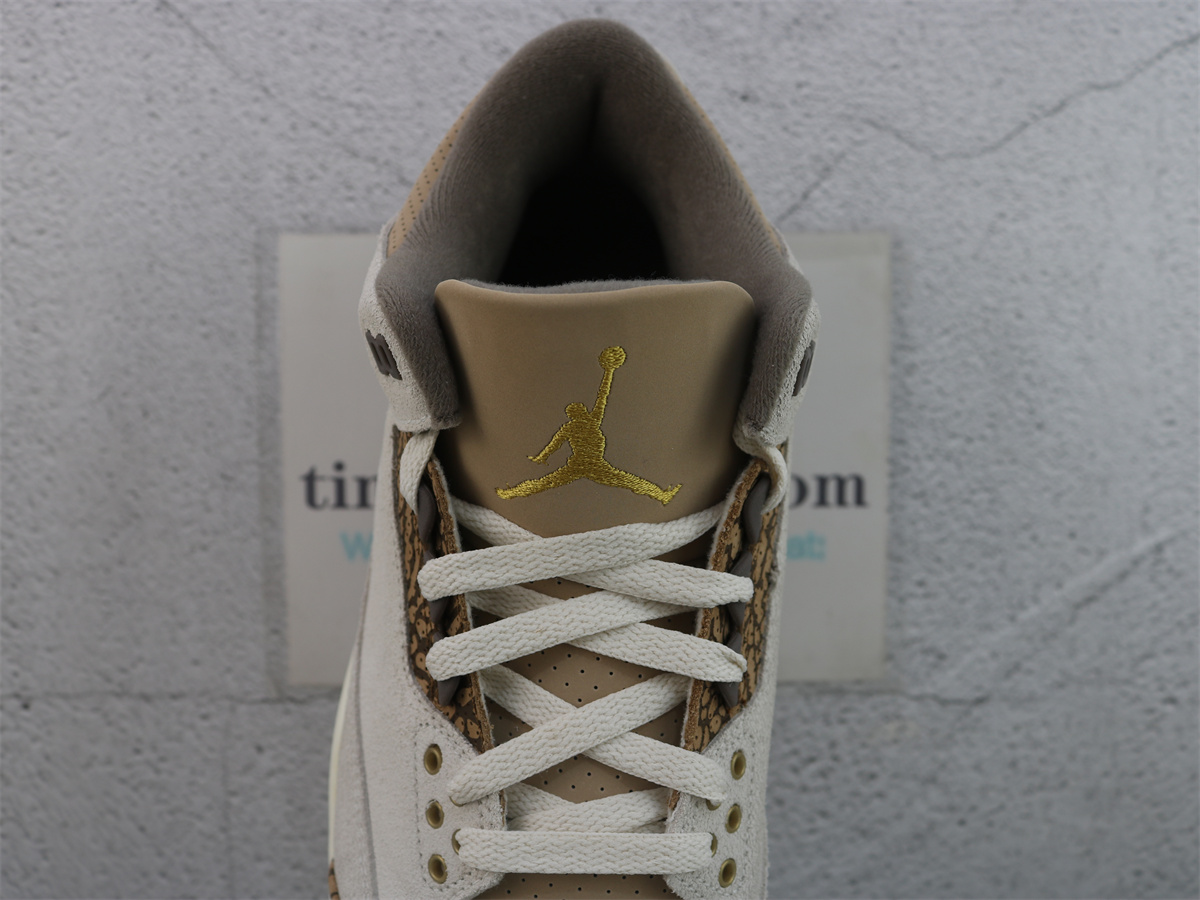 Air Jordan 3 Retro Palomino CT8532-102